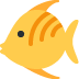 :animal (36):